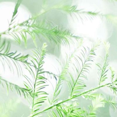 九州之城手游下载